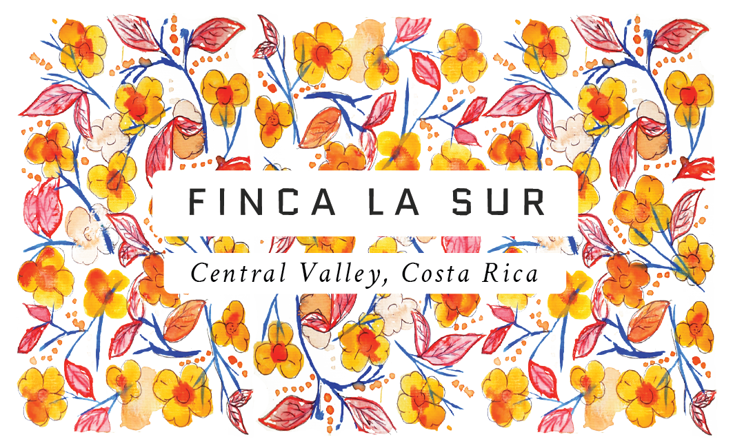 Fina La Sur Costa Rica Single Origin Coffee