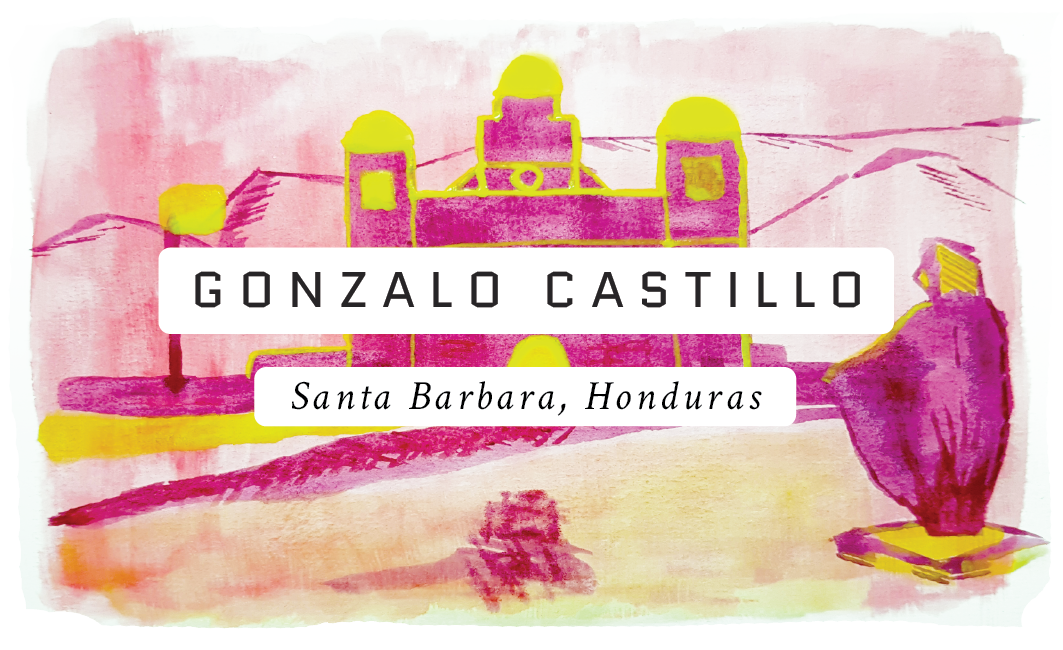 Gonzalo Castillo Honduran Single Origin Coffee