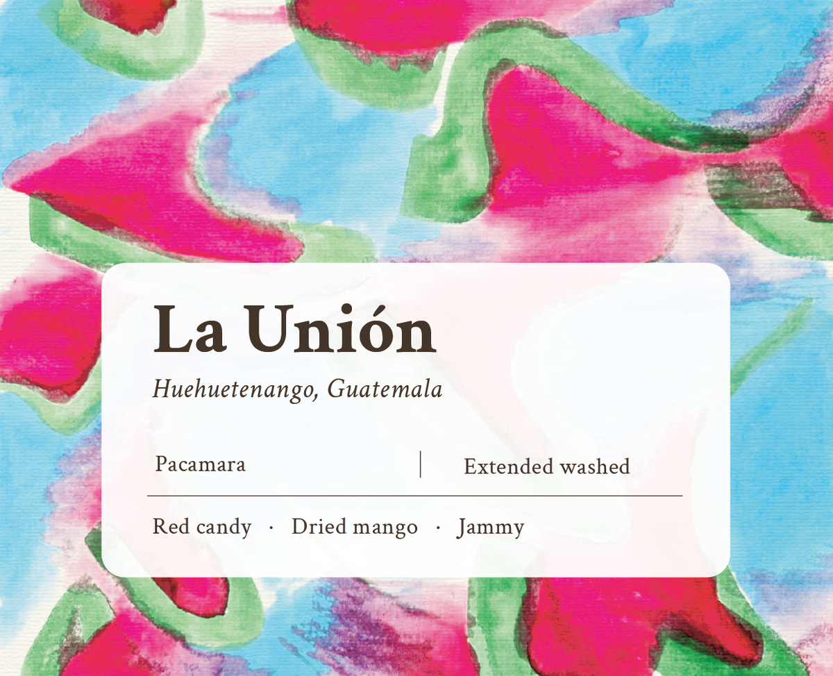 La Union Pacamara Guatemalan Single Origin Coffee