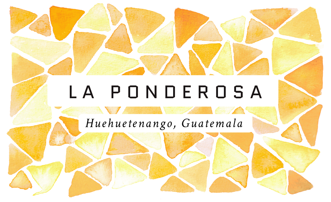 La Ponderosa Guatemalan Single Origin Coffee