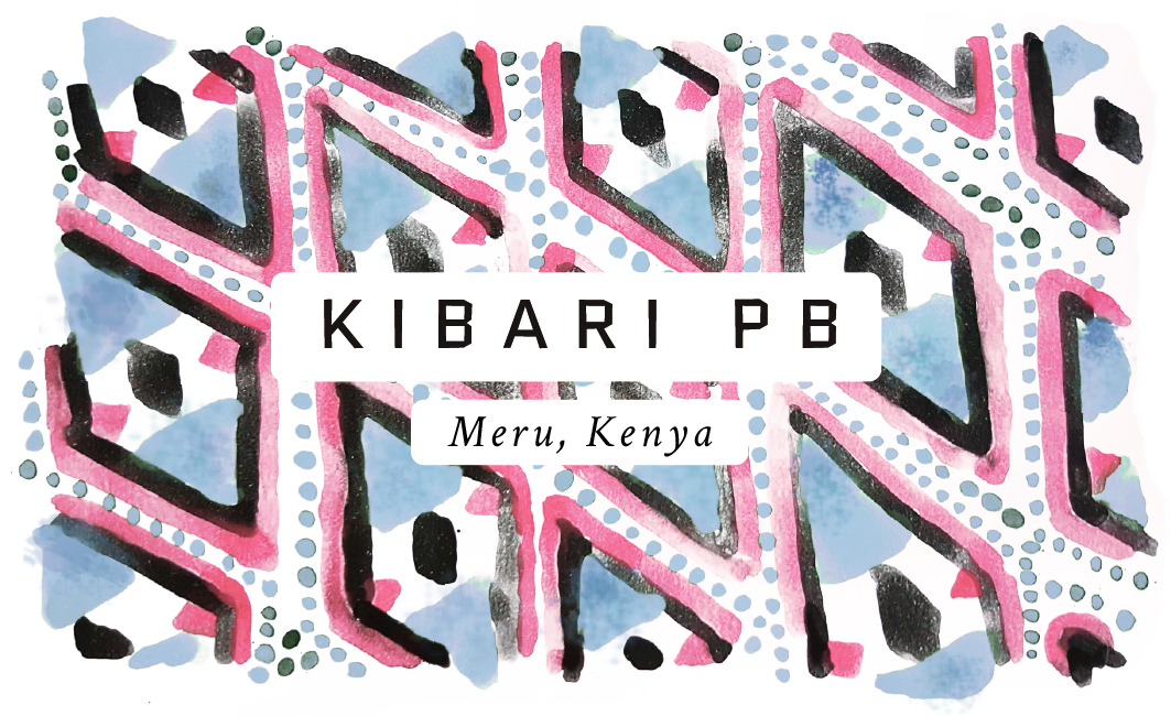 Kibari PB Kenyan Single Origin Coffee