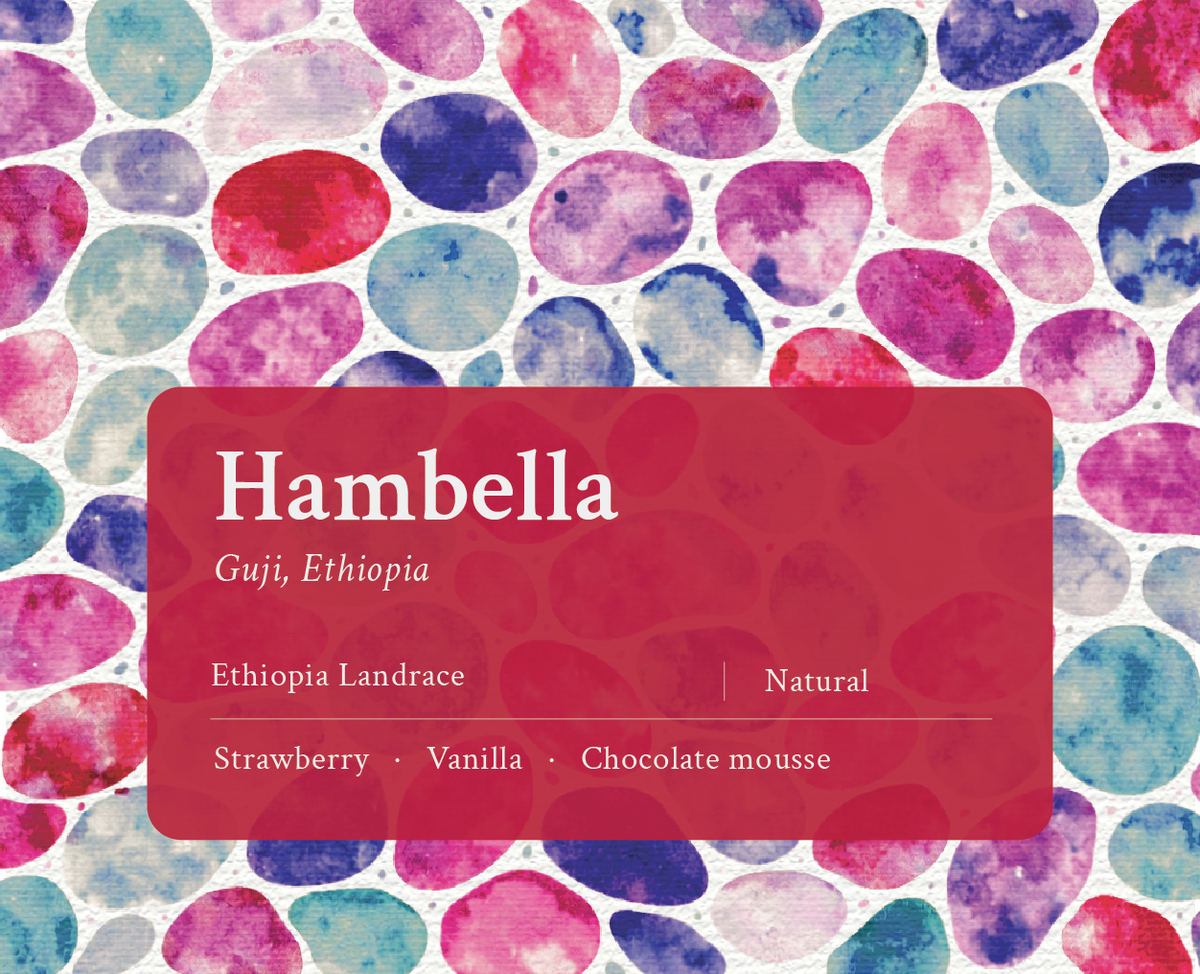 Hambella Ethiopian Coffee for Milk