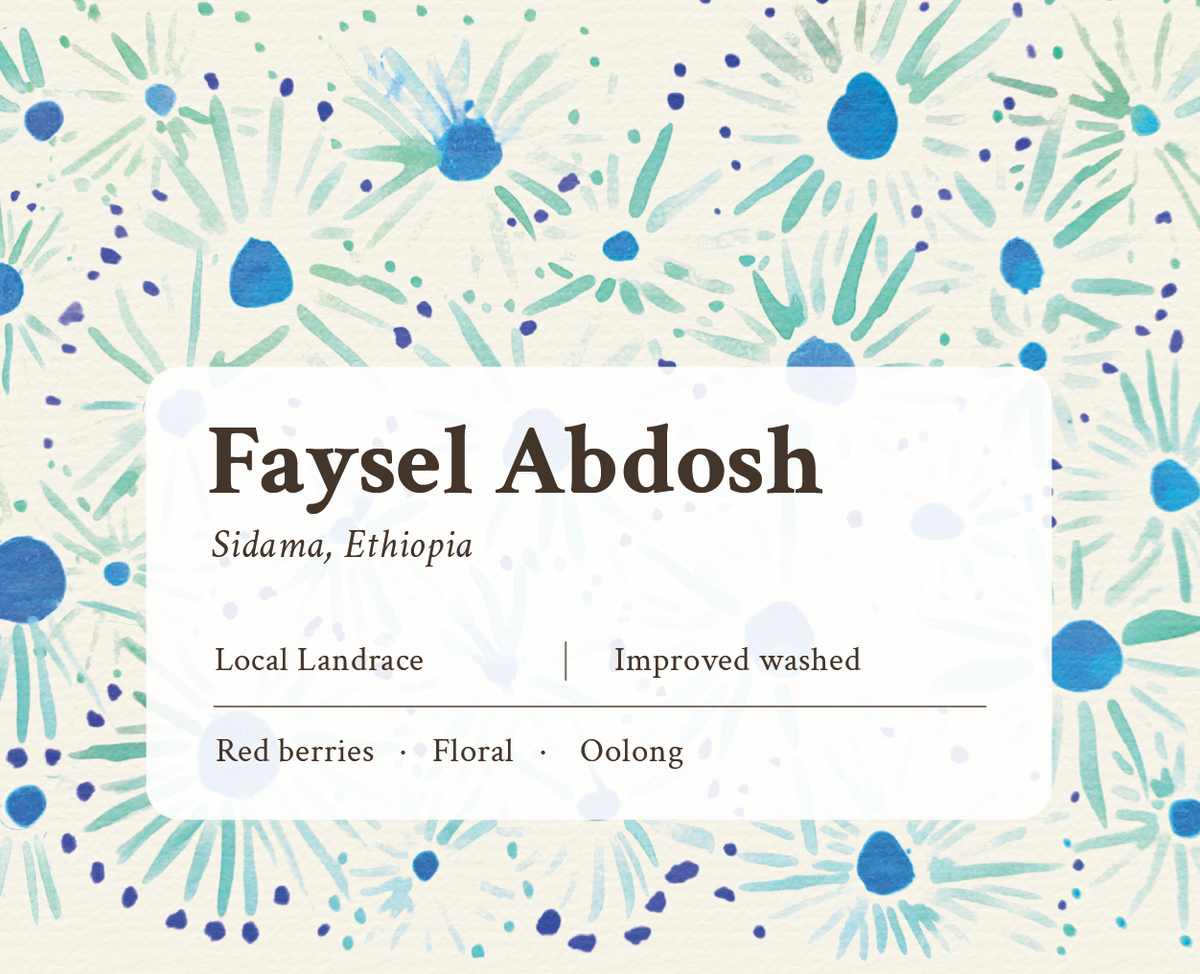 Faysel Abdosh, Ethiopia (Special Prep)