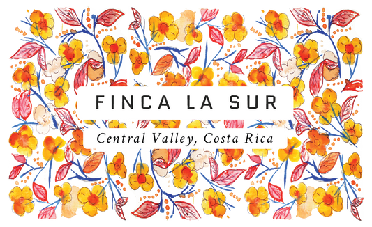 Fina La Sur Costa Rica Single Origin Coffee