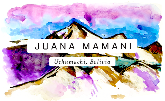 Juana Mamani Bolivian Single Origin Coffee