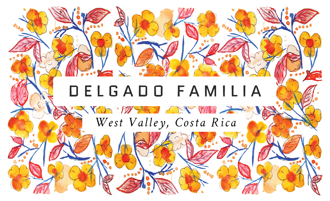 Delgado Familia, Costa Rica (SL28 Honey)