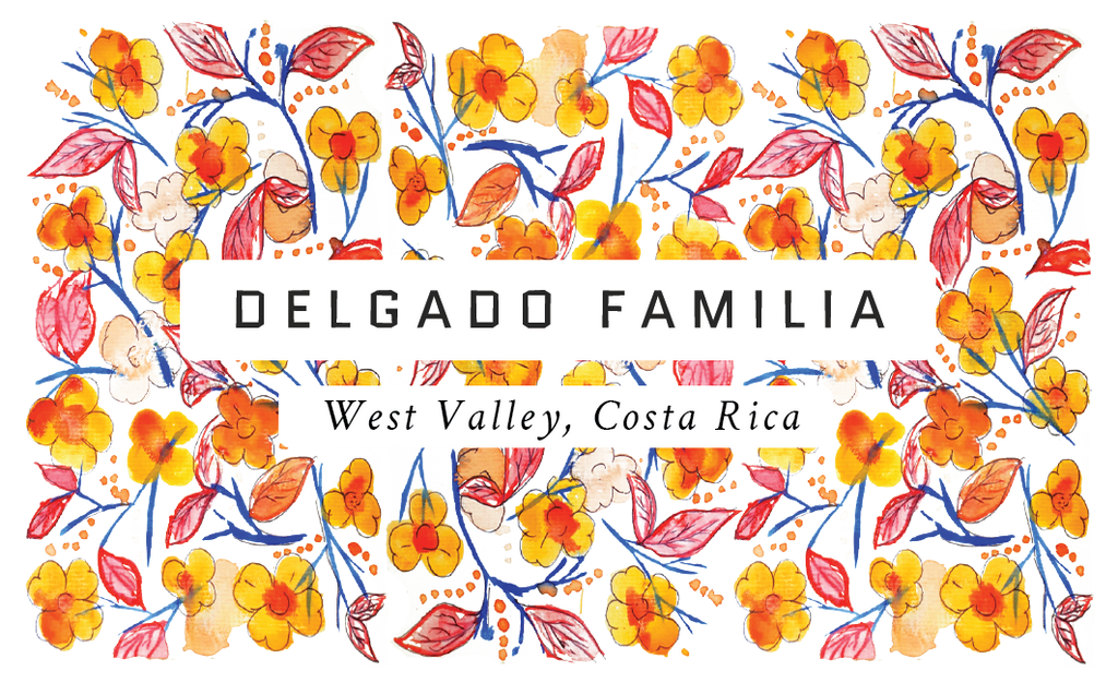 Delgado Familia, Costa Rica (SL28 Honey)