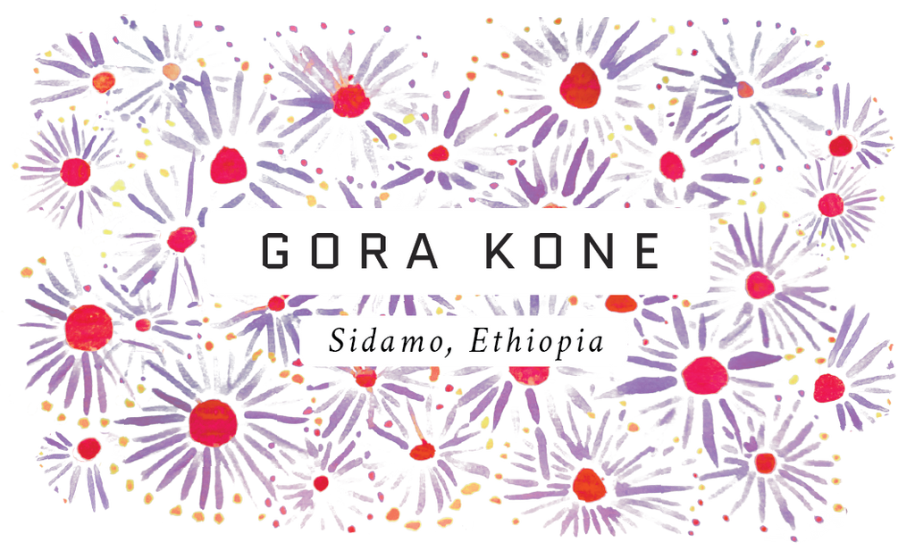 Gora Kone, Ethiopia