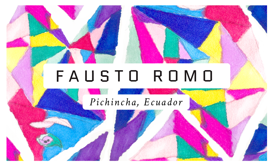Fausto Romo Ecuadorian Sidra Single Origin Coffee