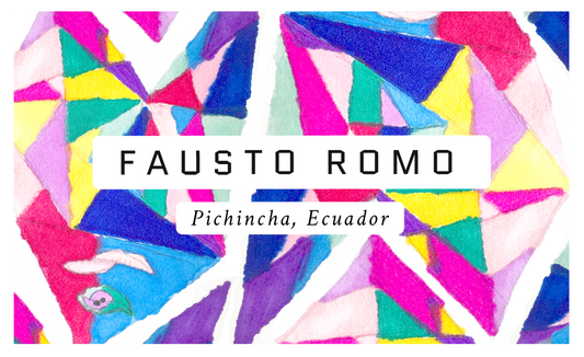 Fausto Romo Ecuadorian Sidra Single Origin Coffee