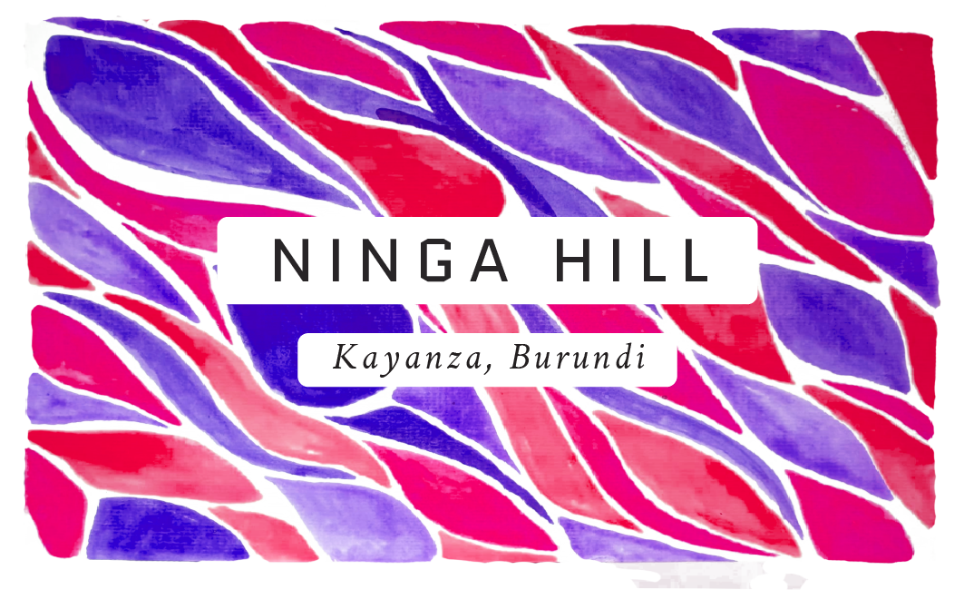 Ninga Hill Burundian Natural Single Origin Coffee
