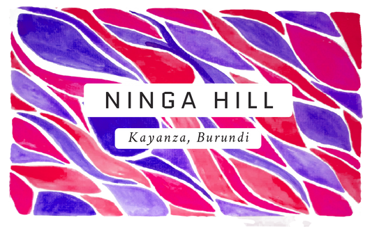 Ninga Hill Burundian Natural Single Origin Coffee