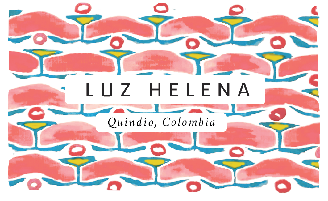 Luz Helena Colombian Single Origin Coffee