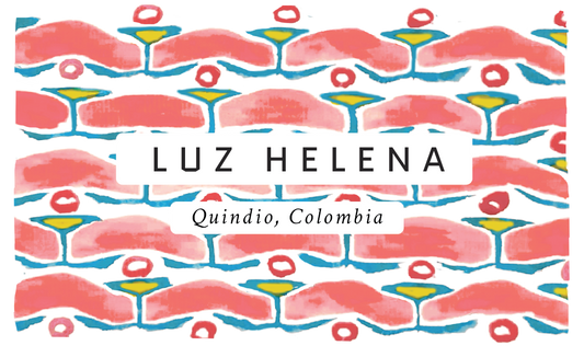 Luz Helena Colombian Single Origin Coffee
