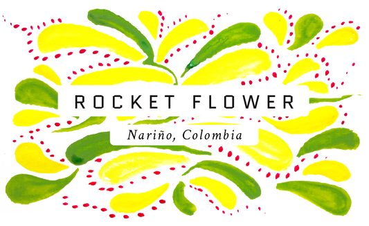 Rocket Flower Colombian Experimental Caturra Coffee