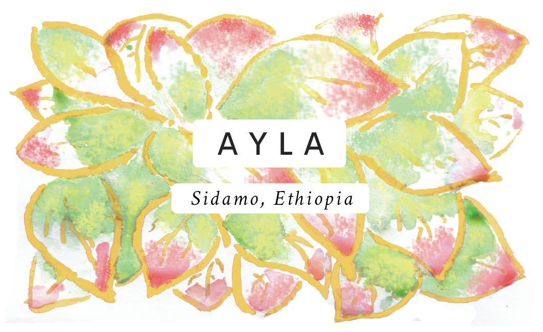 Ayla, Ethiopia – Made of Many