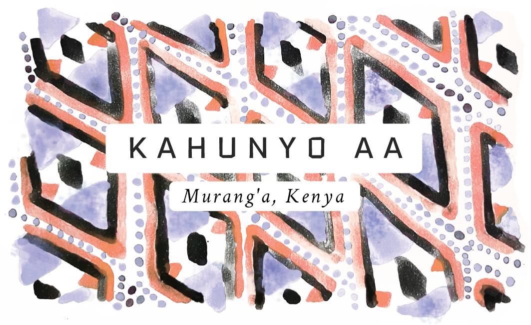 Kahunyo AA, Kenya