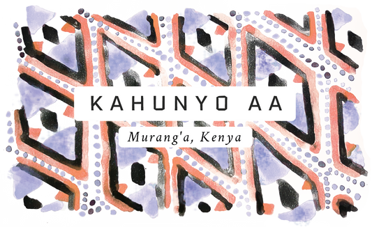 Kahunyo AA Kenyan Single Origin Coffee