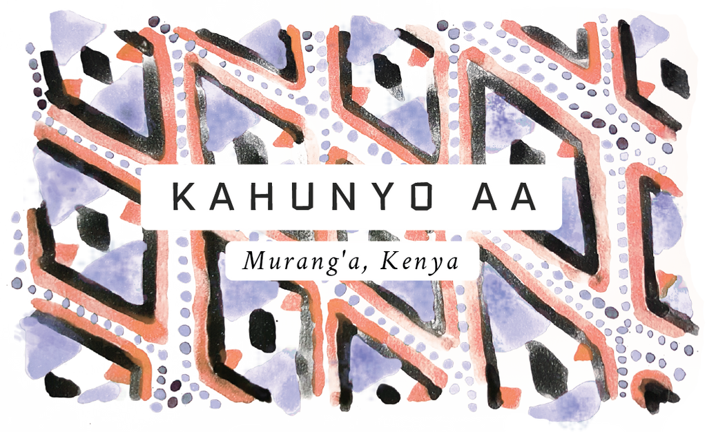 Kahunyo AA, Kenya