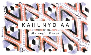 Kahunyo AA, Kenya