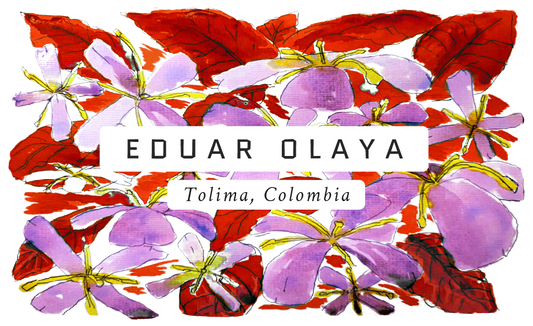 Eduar Olaya Colombian Single Origin Coffee