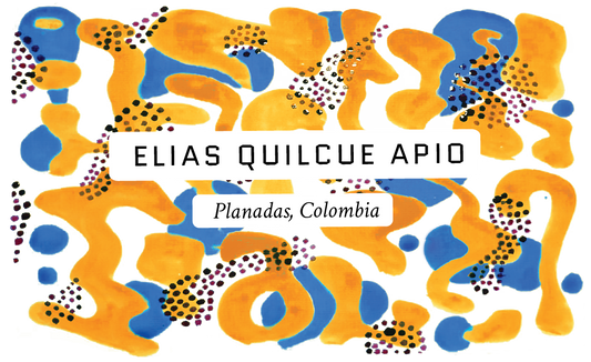 Elias Quilcue Apio Colombian Single Origin Coffee