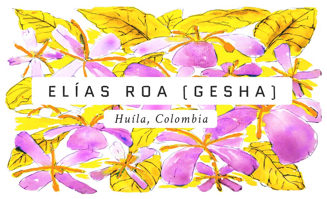 Elias Roa GESHA Single Origin Washed Coffee