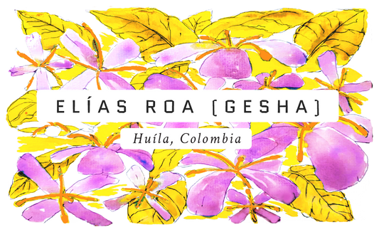 Elias Roa GESHA Single Origin Washed Coffee