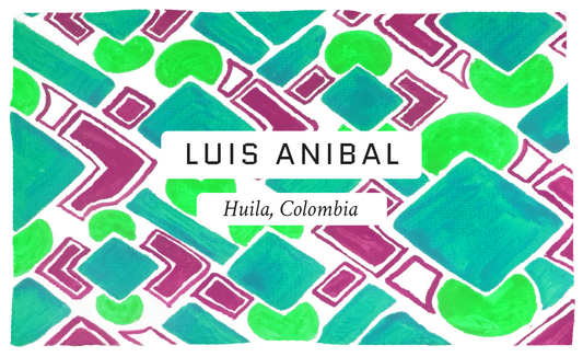 Luis Anibal Natural Gesha Colombian Single Origin Coffee