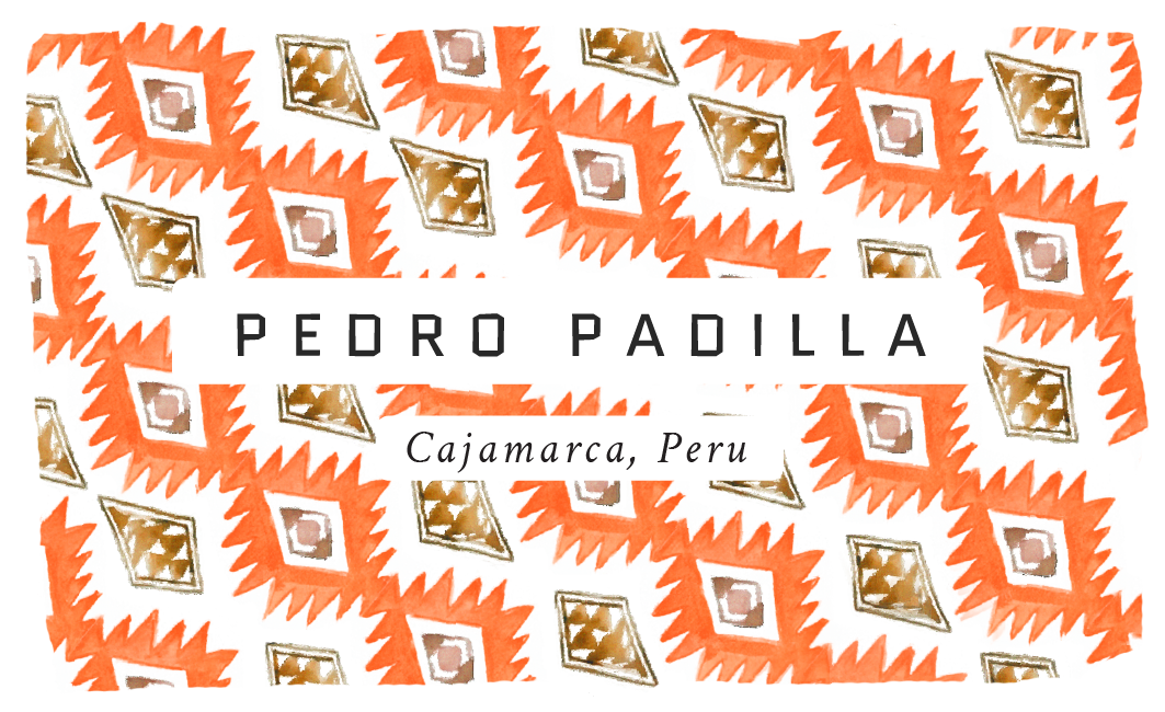 Pedro Padilla Peruvian Single Origin Coffee