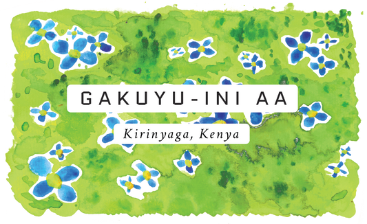 Gakuyu-Ini AA Kenyan Single Origin Coffee