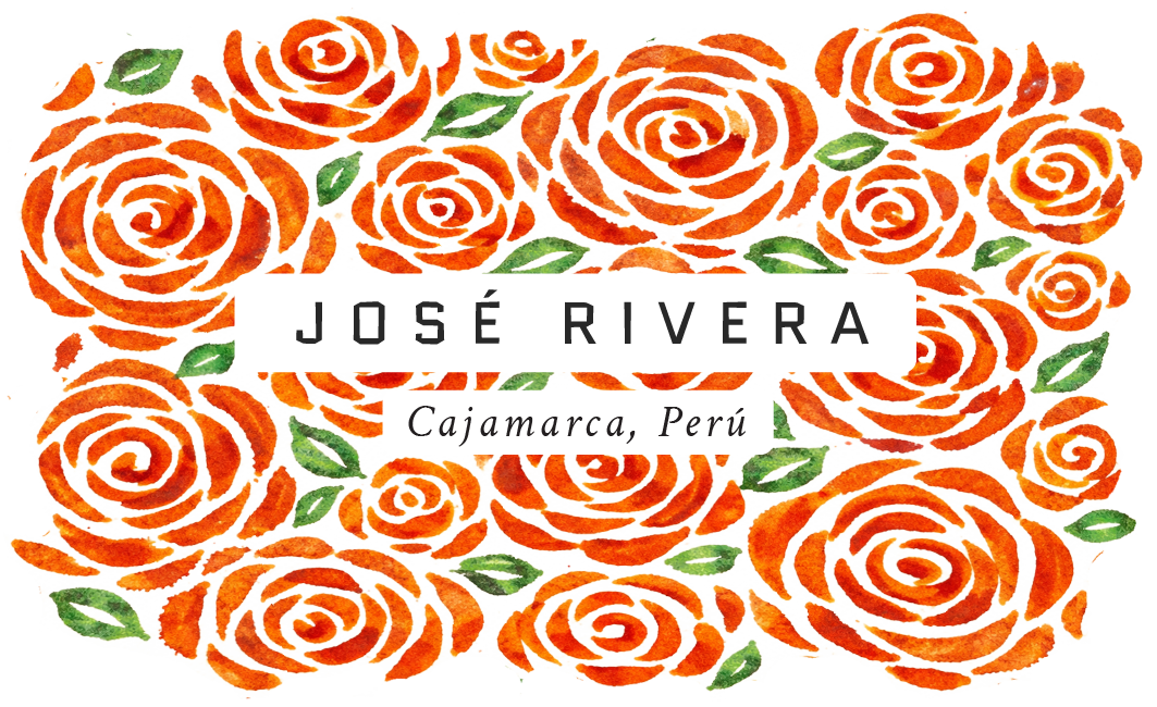 Jose Rivera Peruvian Typica Mejorado Coffee