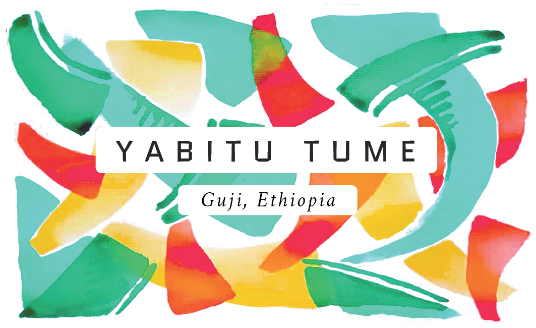 Yabitu Tume Ethiopian Single Origin Coffee