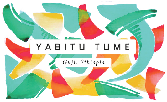 Yabitu Tume Ethiopian Single Origin Coffee