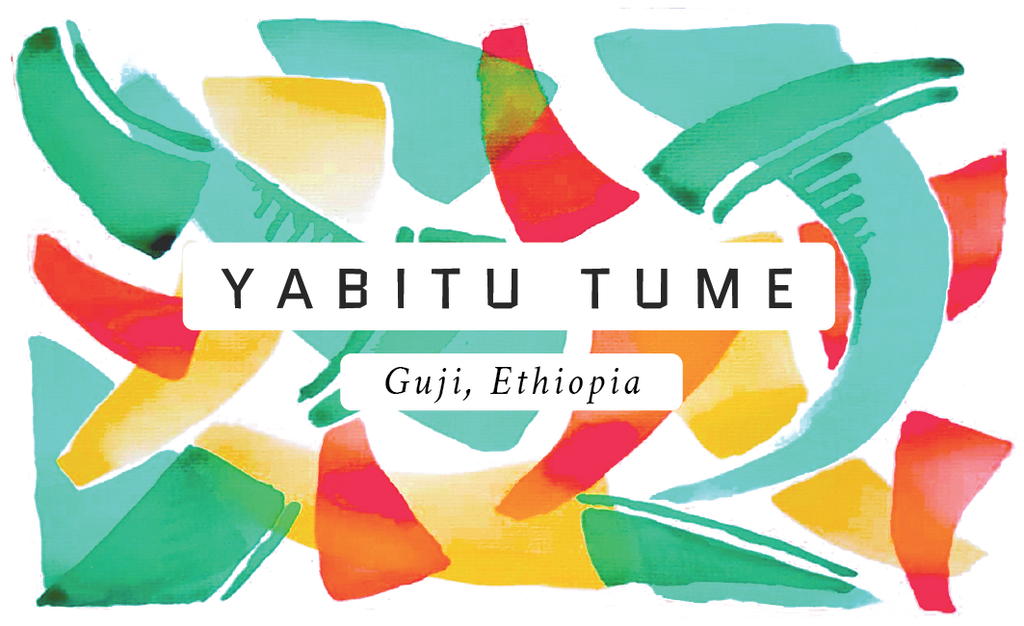Yabitu Tume, Ethiopia