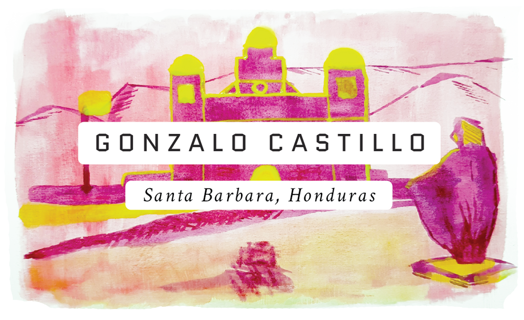 Gonzalo Castillo, Honduras