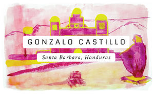 Gonzalo Castillo, Honduras