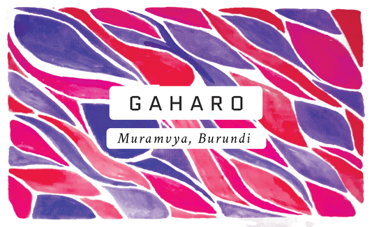 Gaharo Burundian Single Origin Coffee