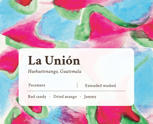 La Union Pacamara Guatemalan Single Origin Coffee