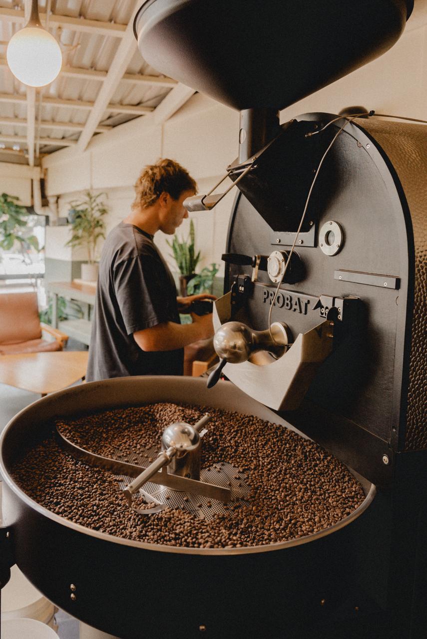 Probat Single Origin Roast