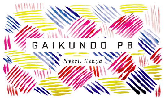 Gaikundo Peaberry Kenyan Single Origin Coffee