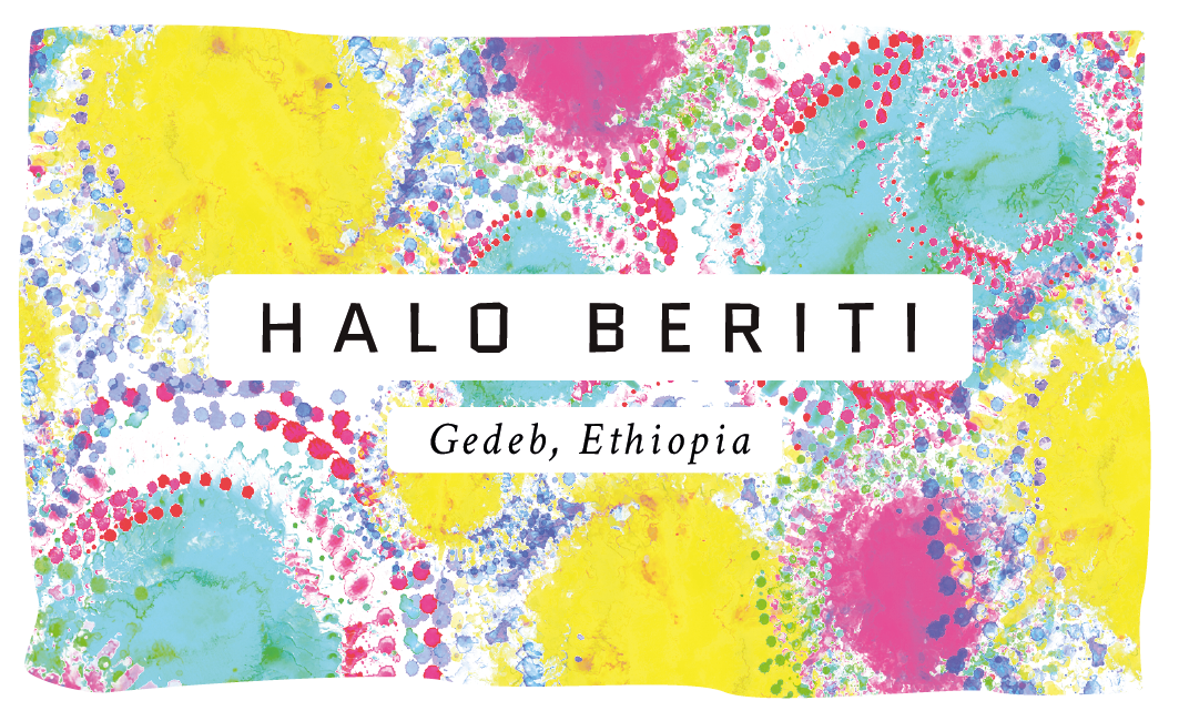 Halo Beriti Ethiopian Single Origin Coffee