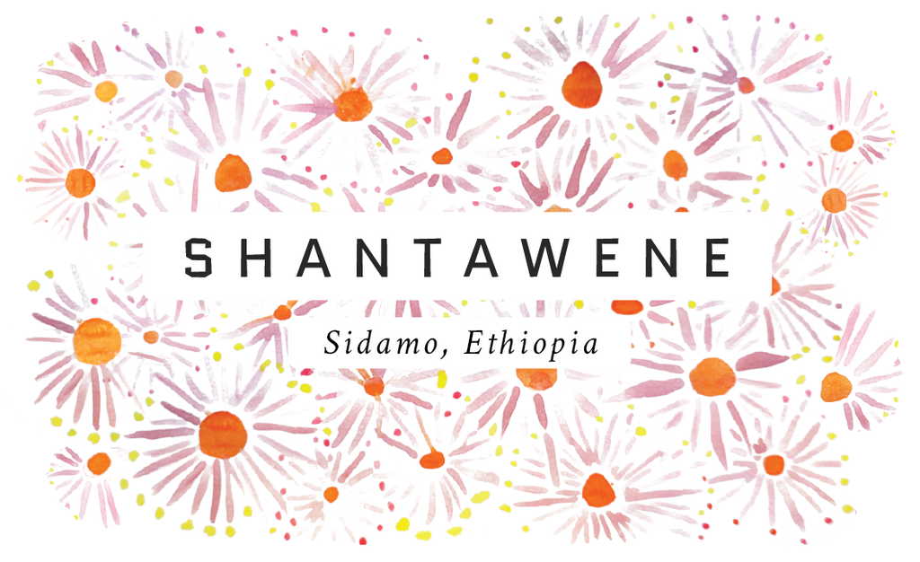 Shantawene, Ethiopia