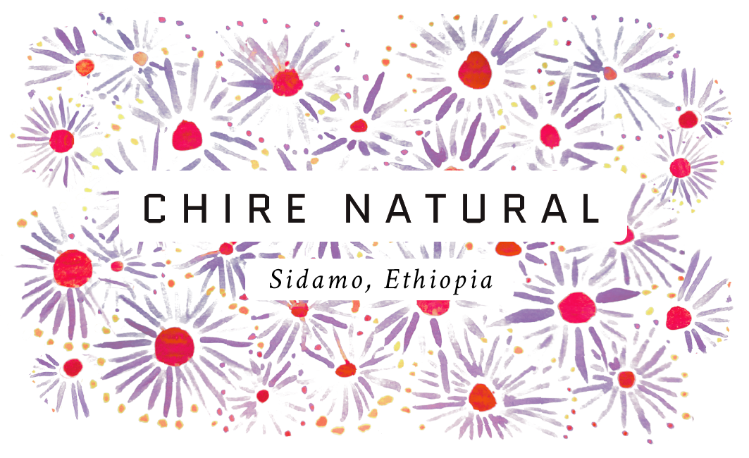 Chiri Ethiopian Single Origin Coffee