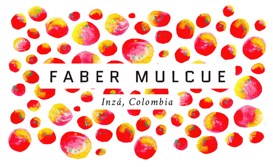 Faber Mulcue Colombian Single Origin Coffee