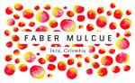 Faber Mulcue, Colombia
