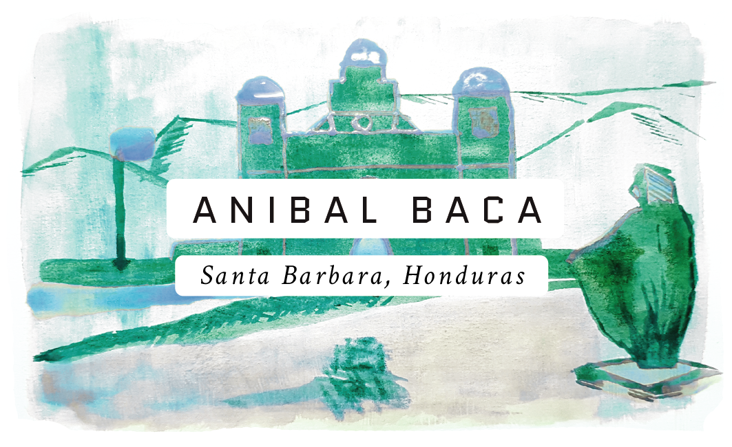 Anibal Baca Honduran Single Origin Coffee