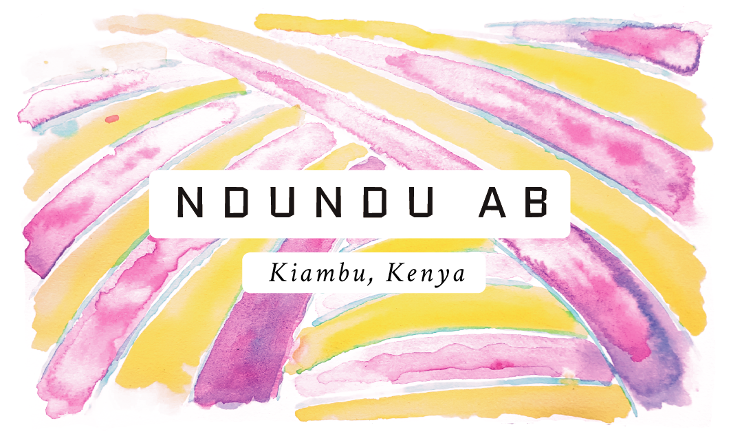 Ndundu AB Kenyan Single Origin Coffee