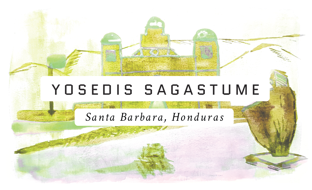 Yosedis Sagastume Honduran Single Origin Coffee