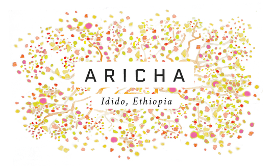 Aricha Ethiopian Single Origin Coffee